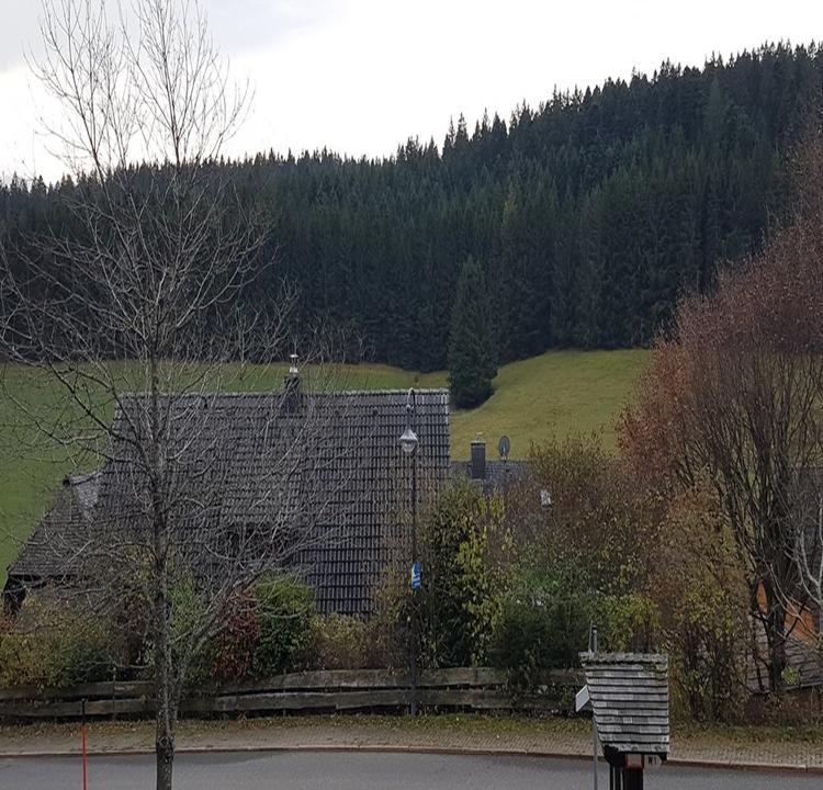 Gasthof Zur Traube