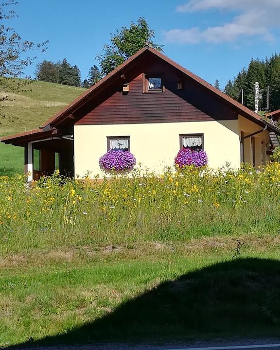 Café Feldbergblick